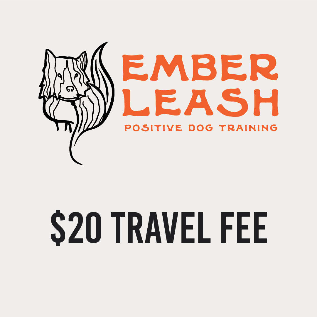 In-Person Private Session: $20 (Travel Fee)